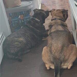 Meet your Posher, Jm